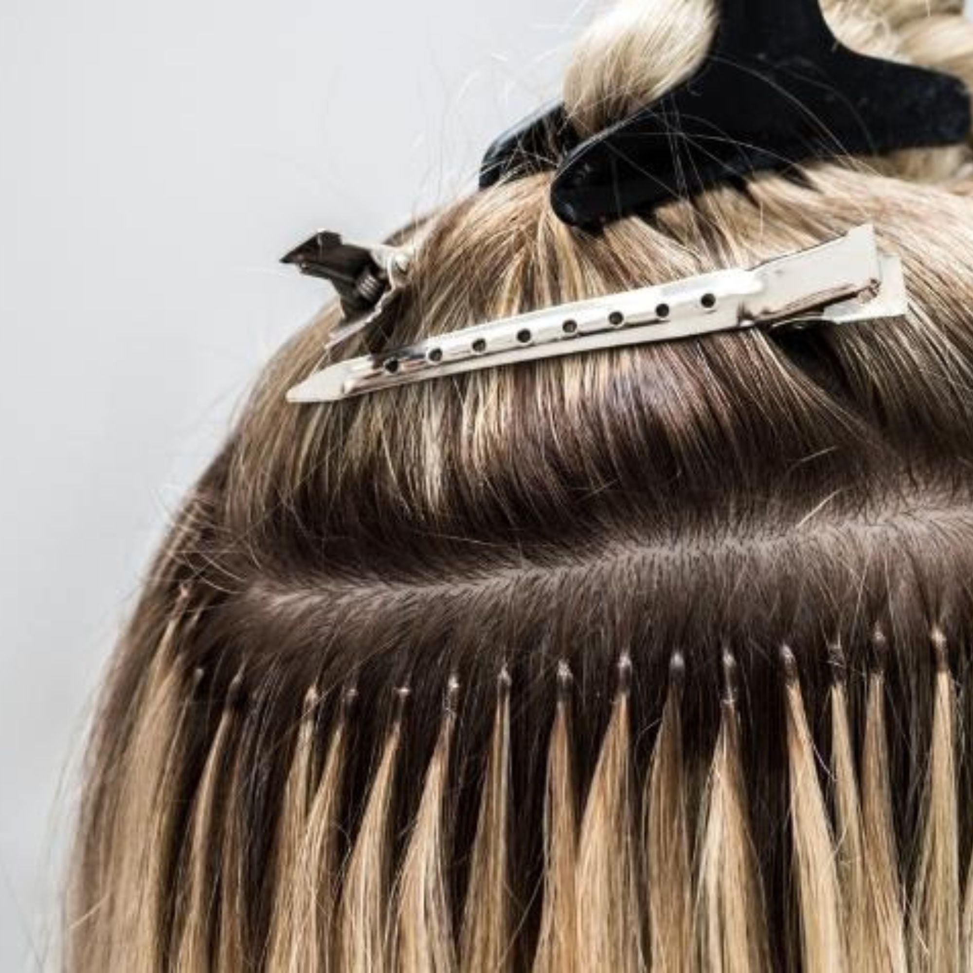 Extensions Darling